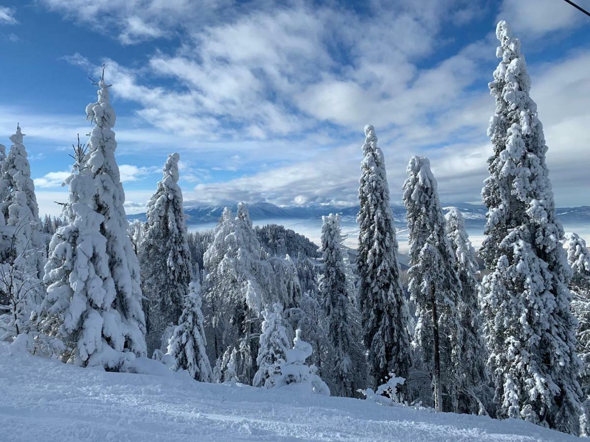 Silver Mountain Poiana Brasov Extérieur photo