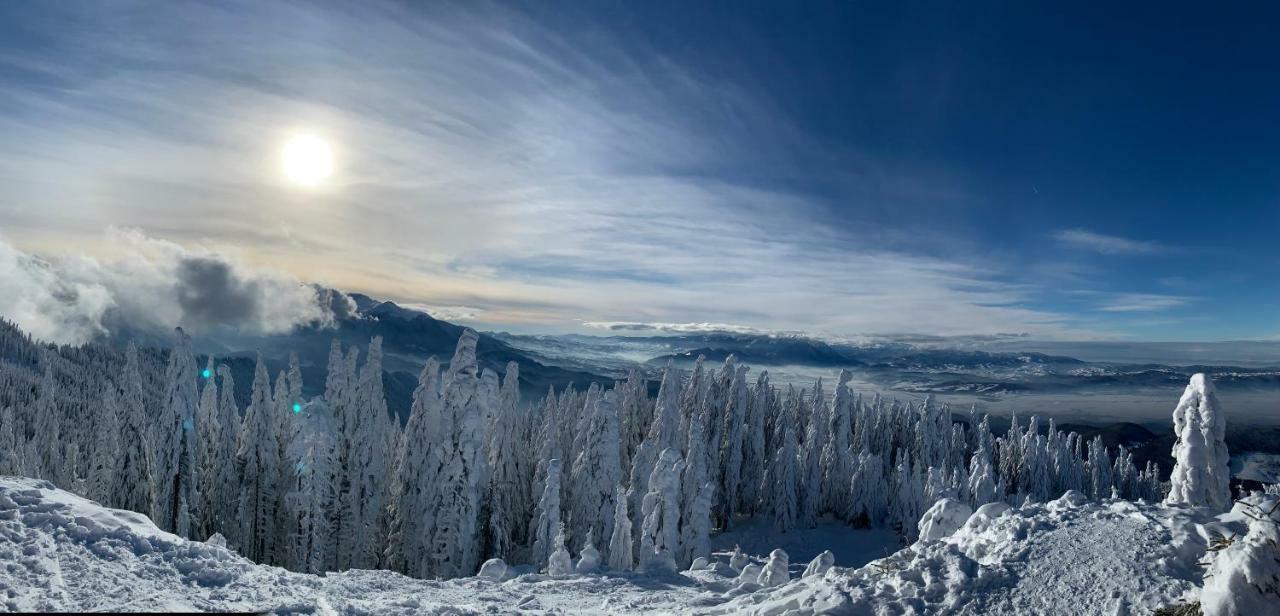 Silver Mountain Poiana Brasov Extérieur photo